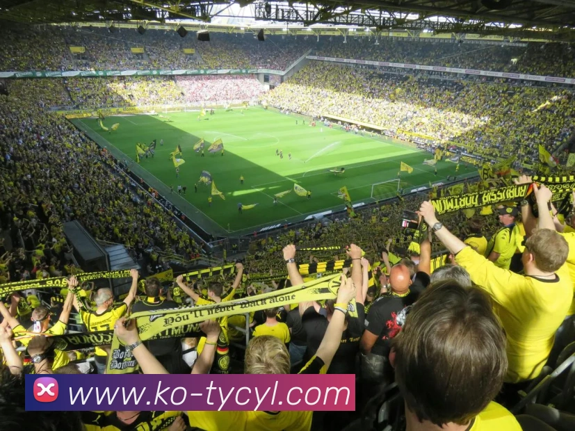 澳门太阳城网站服务体系